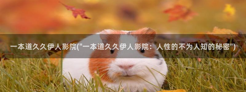 卡通动漫伊人网视频