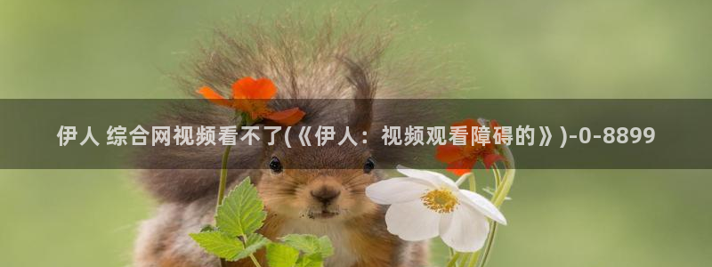 新伊人久久综合影院