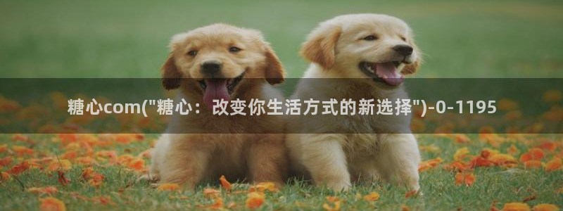 51糖心vlog：糖心com(\