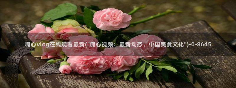 糖心vloge：糖心vlog在线观看最新(\