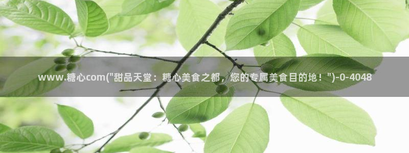 糖心vlog视频下载：www.糖心com(\