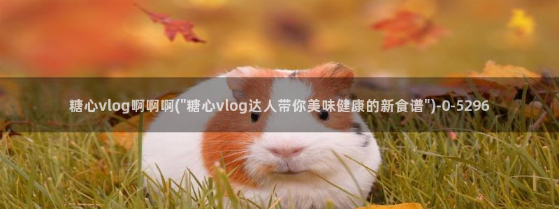糖心vlog官方版：糖心vlog啊啊啊(\