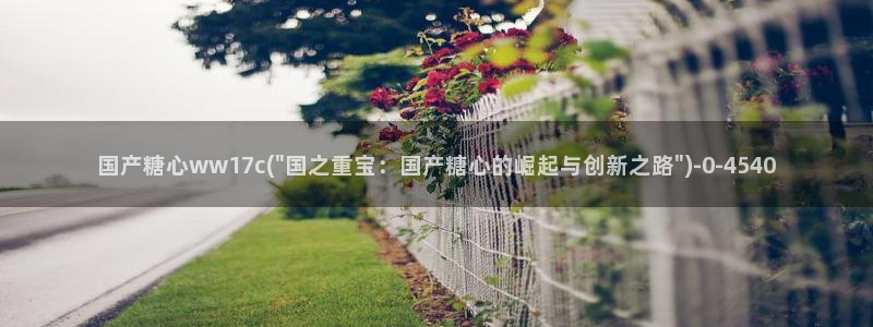 91制片厂糖心vlog玩偶：国产糖心ww17c(\