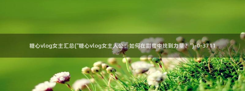 糖心vlog破解版下载链接