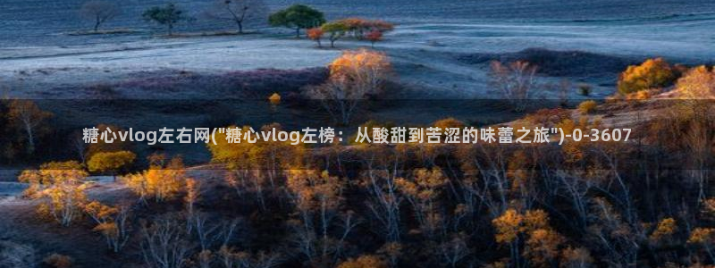 糖心vlog最新一集