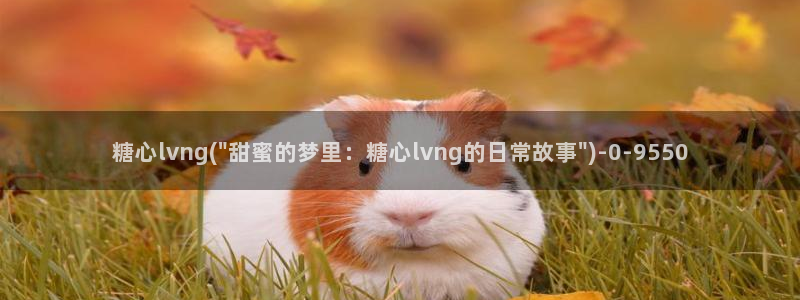 糖心vlog鸡教练