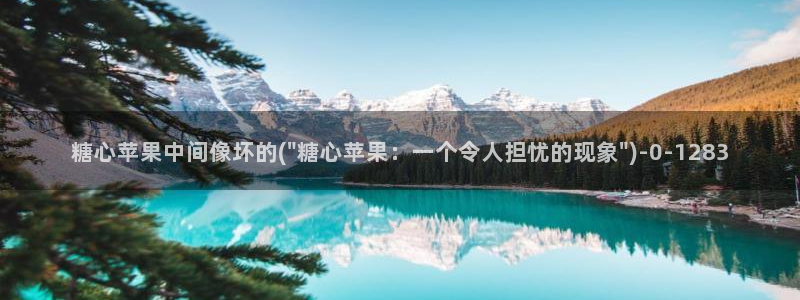 心糖vlogo