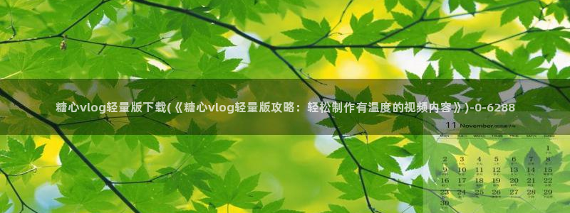 糖心vlog安装